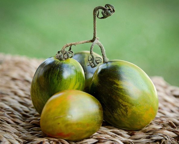 Tohum Dünyam 10 Adet Atomic Grape Heirloom Domates Tohumu - 2