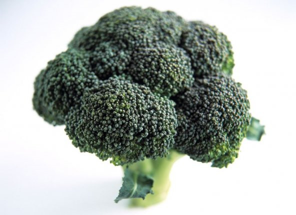 Tohum Dünyam 20 ADET SPROUTING BROCCOLI TOHUMU - 2