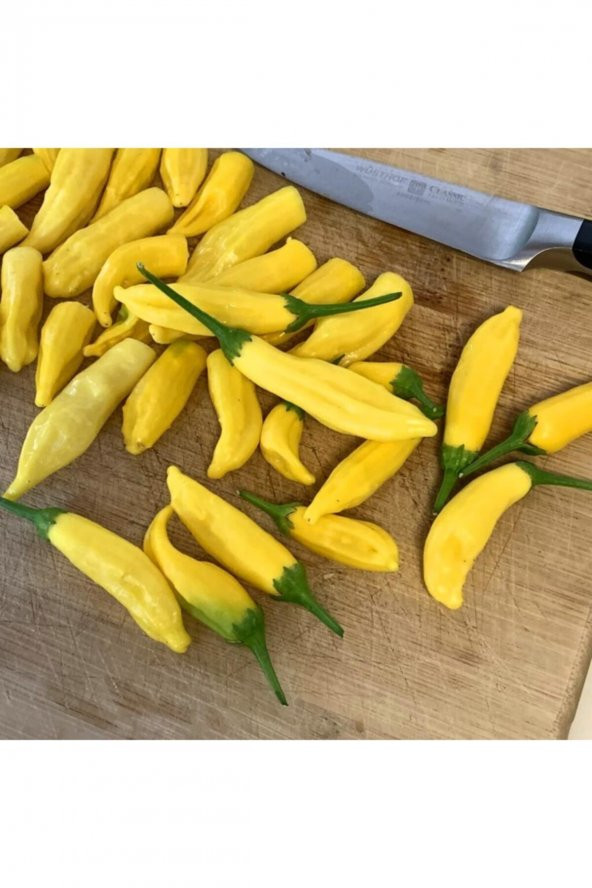 Tohum Dünyam Limon Damlası Acı Biber Tohumu (10 Tohum) - Resim 2