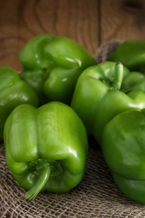 Tohum Dünyam Kandil Dolmalık Biber Tohumu / 20+ Adet Tohum - Resim 2