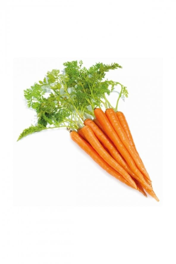 Tohum Dünyam Havuç Tohumu 200 Adet Tohum Nantes Etli Erkenci Havuç ürün görseli 1