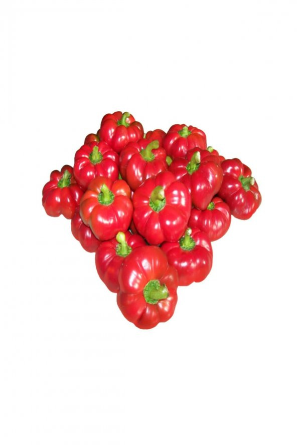 Tohum Dünyam PEYNİR BİBERİ TOHUMU / 20+ TOHUM