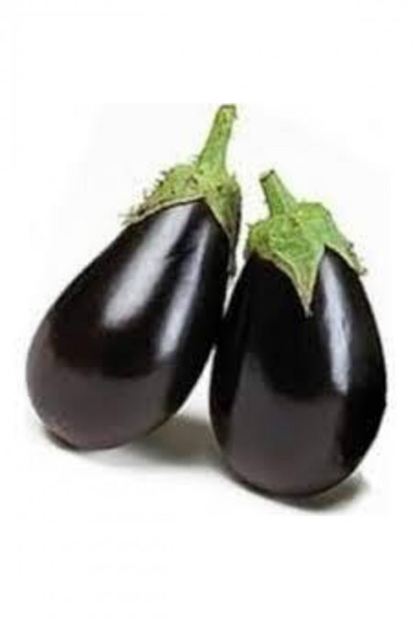 Tohum Dünyam Adana Dolmalık Patlıcan Tohumu 40 Adet