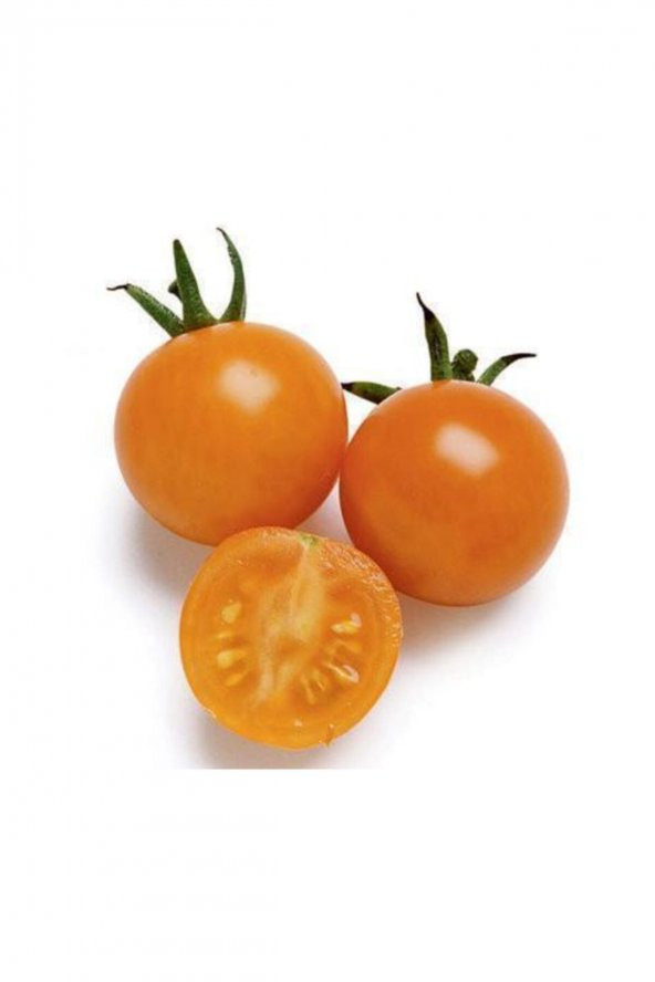 Tohum Dünyam İthal Nadit Cherry Turuncu Domates Tohumu 20 Adet Tohum ürün görseli 1
