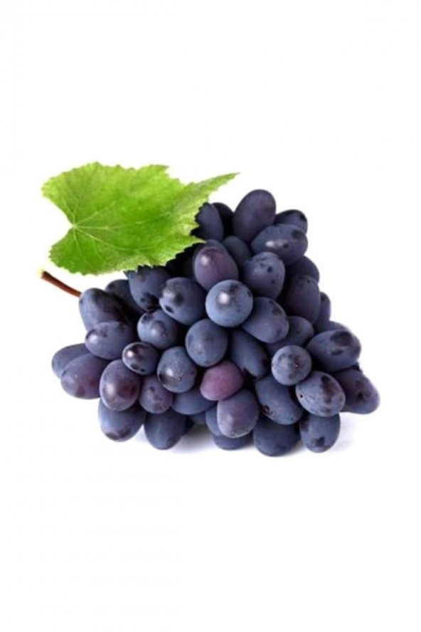 Tohum Dünyam Nadir Siyah Şarköy Üzüm Tohumu 20 Adet Tohum ürün görseli 1