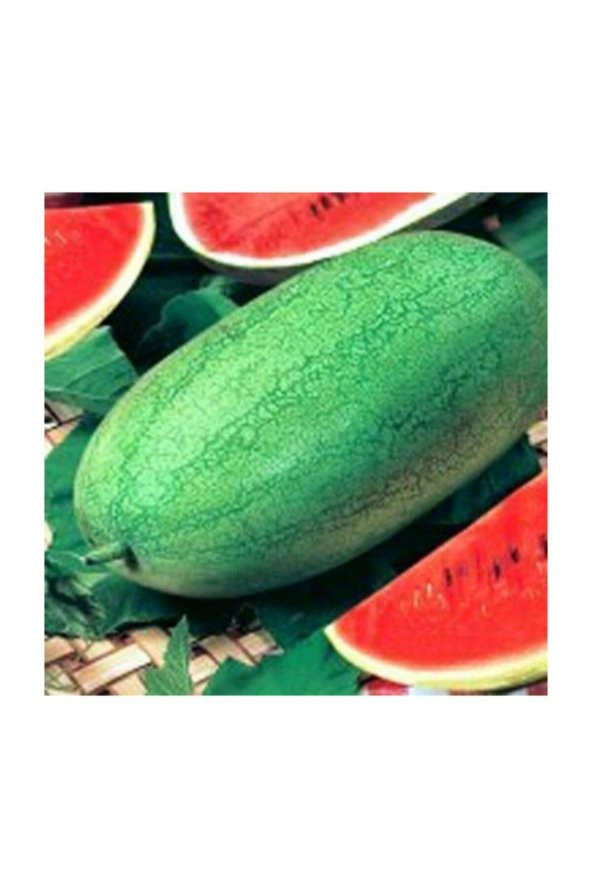 Tohum Dünyam Nadir İthal Çarliston Gray Karpuz Tohumu 10 Adet Tohum ürün görseli 1