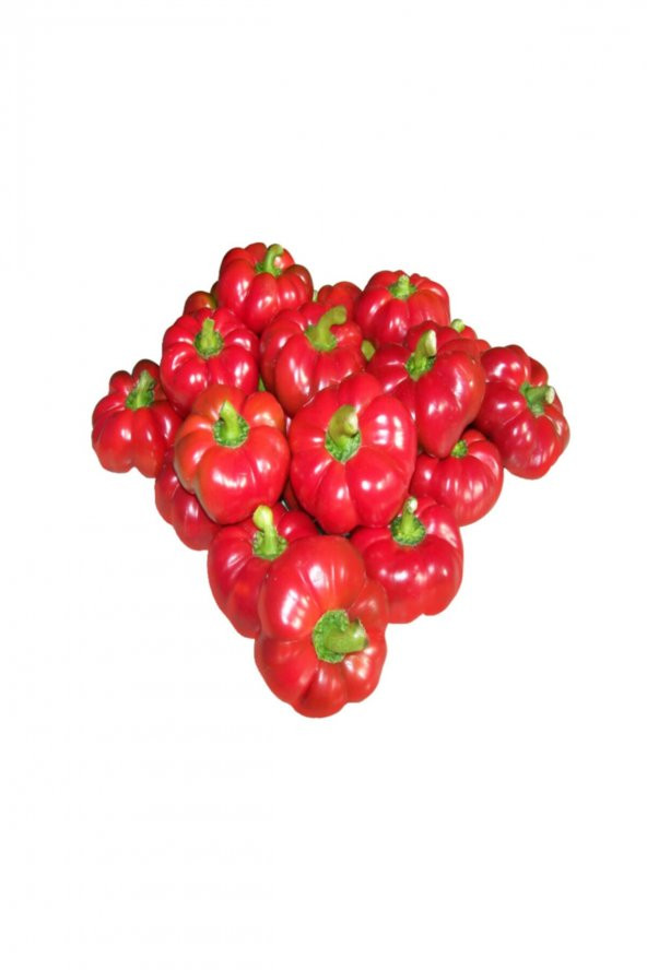 Tohum Dünyam Nadir İthal Peynir Biberi Tohumu 5 Adet Tohum Biber Tohumu