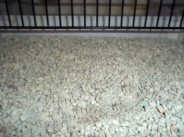 Mısır Granülü Kuş Kafes Altlığı Koku Giderrici Muhabbet Yuvası Granülü - 2