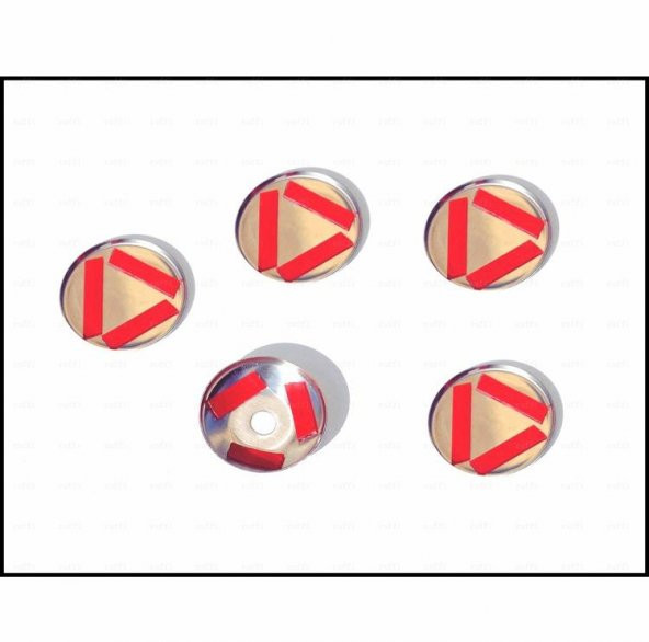 FAMS OTO AKSESUAR Ford CONNECT Krom Kilit Açma Çerçeve 5 pcs 2009-2014 P.ÇELİK - 3
