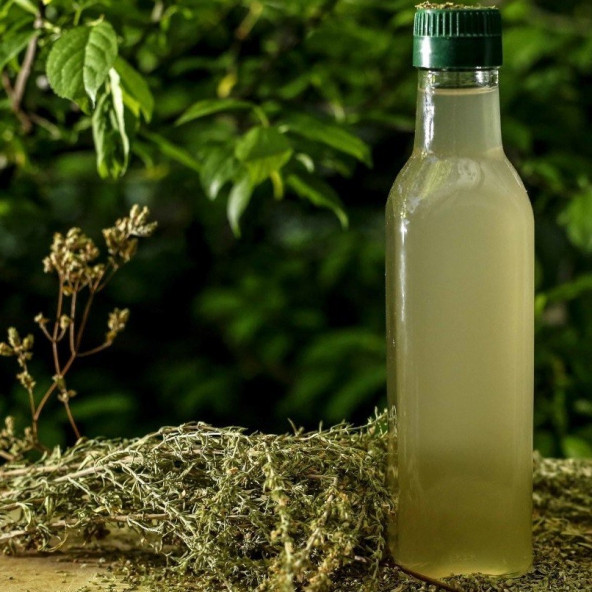 Orijinal Doğal Keskin Aromalı Kekik Suyu 100 ML