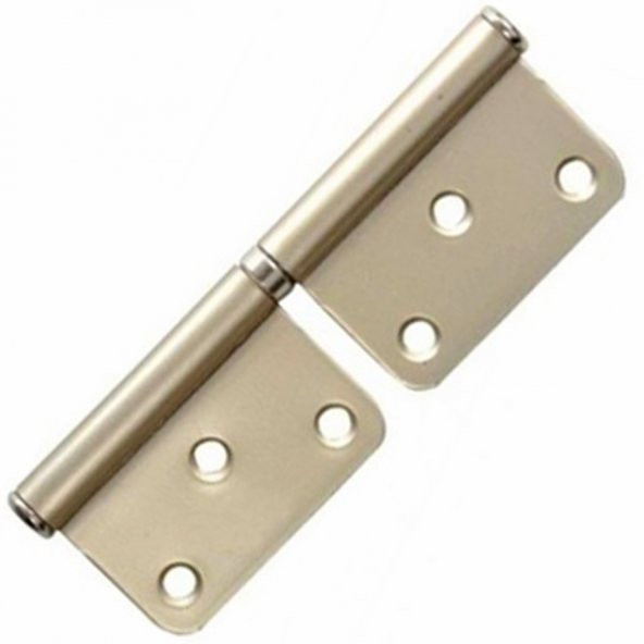 Aletçantam Çelik Yönsüz Menteşe 12cm Kapı Menteşesi ürün görseli 1