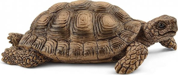 Schleich Kaplumbağa Yuvası 42506 - 3