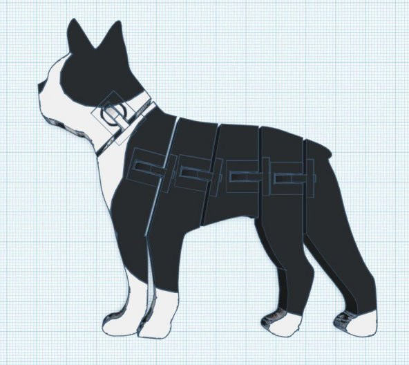 Flexi Boston Terrier Plastik Aparat - 1