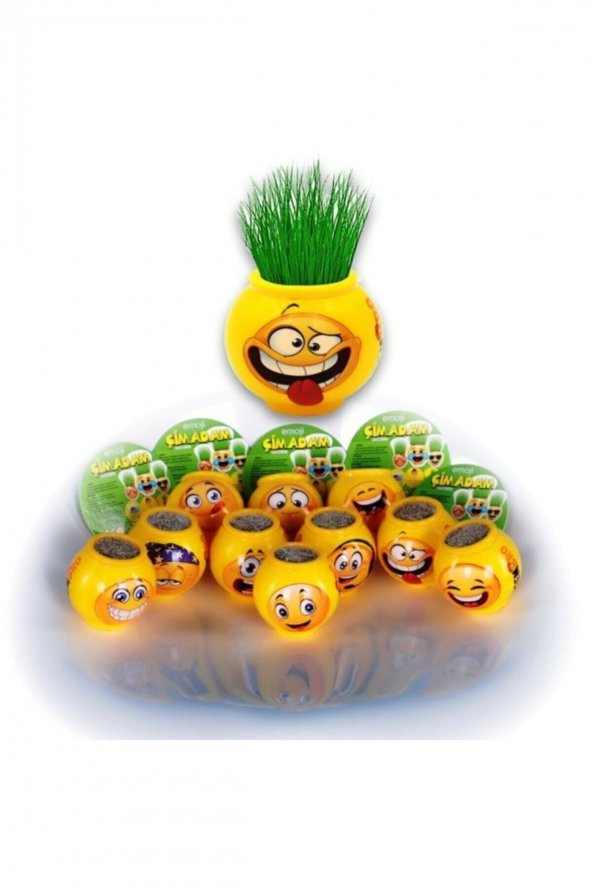 40 Adet Öğrenciye Hediye 1 Yaş Doğüm Günü Hediyesi Li Çim Adam Okul Öncesi Etkinlik