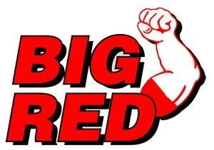 BigRed TR100001 10 Ton Hidrolik Uzun Garaj Krikosu - Resim 2