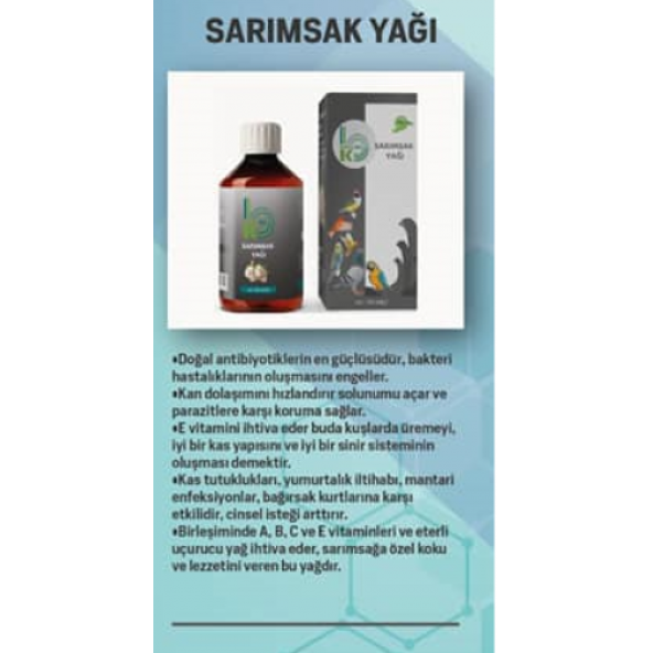 Sarımsak Yağı - 2