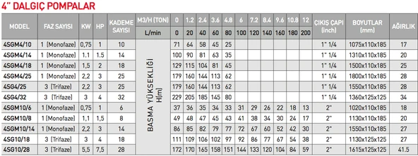 Rainpump 4SGM4/14 1-1/4'' 100Metre Derin Kuyu Dalgıç Pompası - Resim 2