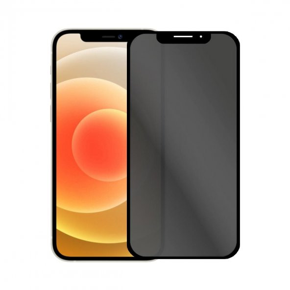 BİNANO EXTREME PRIVACY IPHONE 14 / 13 /13 PRO NANO EKRAN KORUYUCU ürün görseli