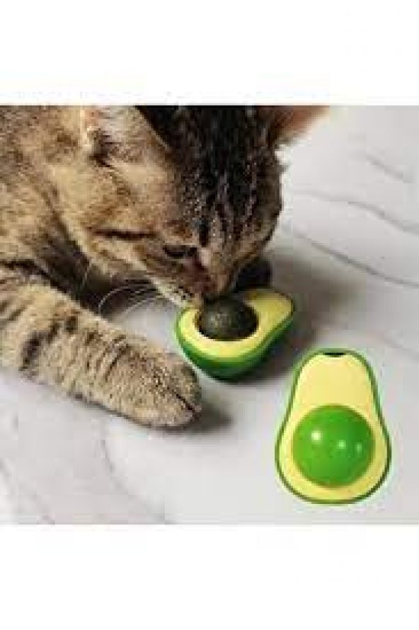 Avokado Catnip Avokado Kedi Çimi Topu Avokado Kedi Nanesi Oyuncağı