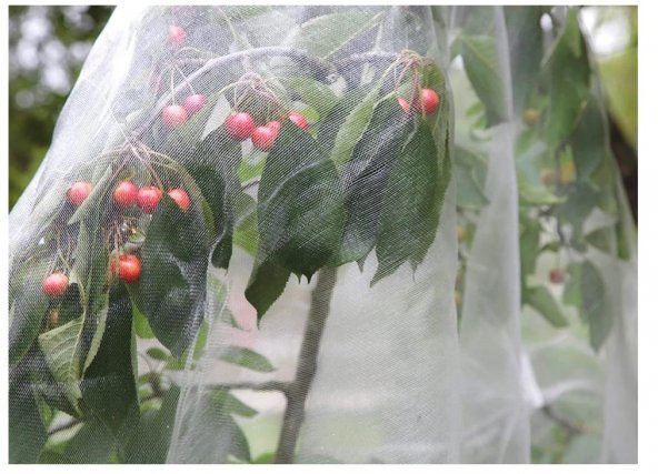 SİNEK TÜLÜ 3X200 METRE İNSEKT TÜL TUTA TÜLÜ 40 MESH SERA SİNEK TÜLÜ - Resim 5