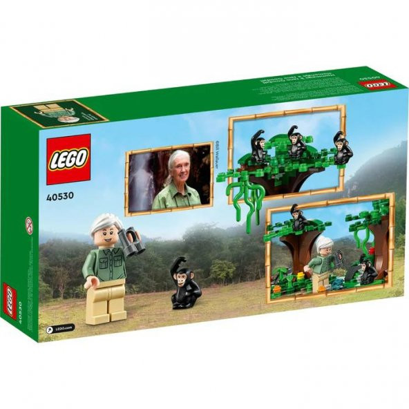 LEGO Promotional 40530 Jane Goodall Tribute - 2