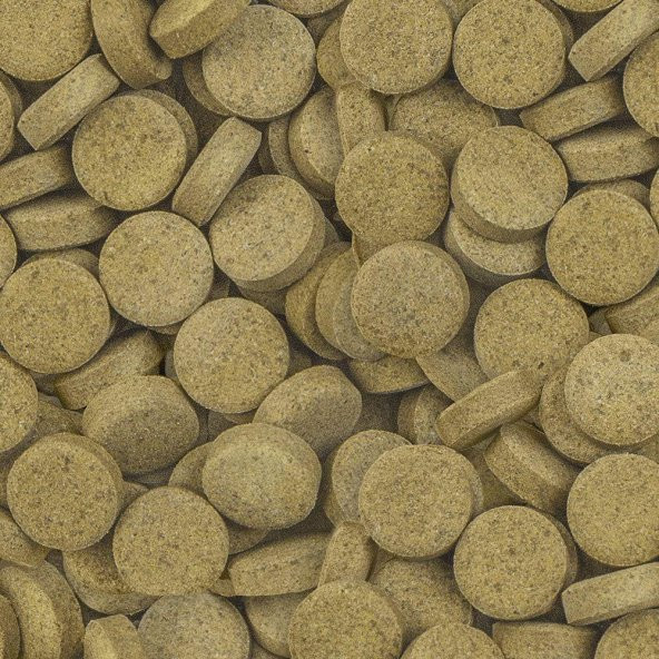 Sera O-Nıp Tablet Etçil Balık Yemi ( Kovadan Bölme ) 50 GR - 2