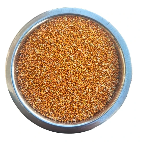 Kızıl Dal Darı Taneleri Elenmiş Yeni Yavrular Için 1 Kg - 2