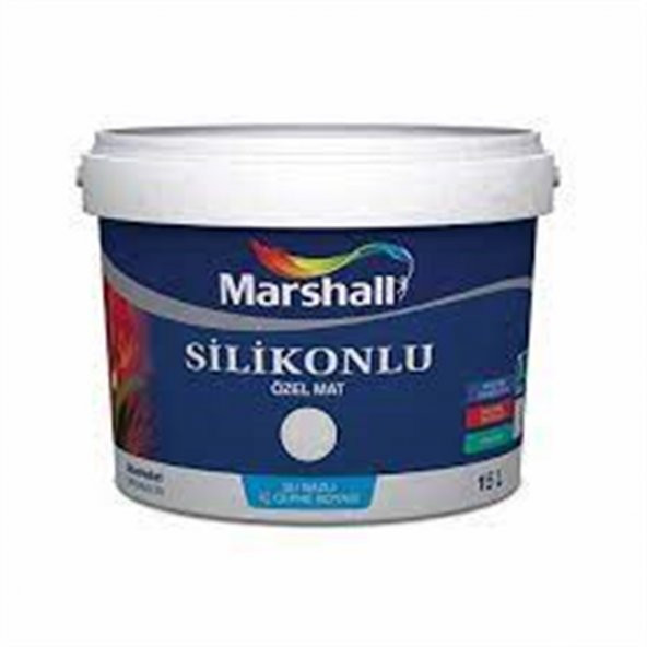 SİLİKONLU ÖZEL MAT BM BAZ İÇ CEPHE BOYASI 1 LT