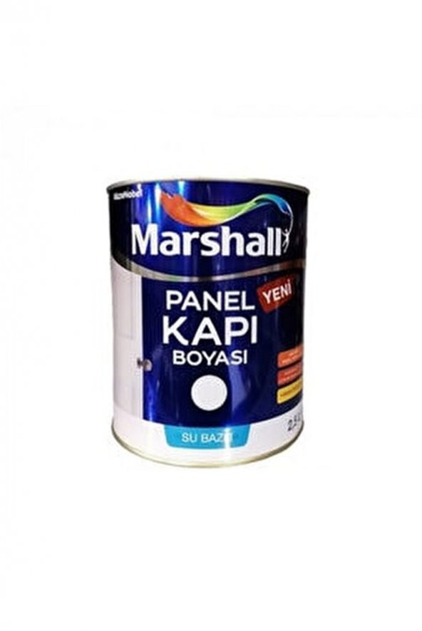 PANEL KAPI BOYASI BW BAZ 2,5 LT