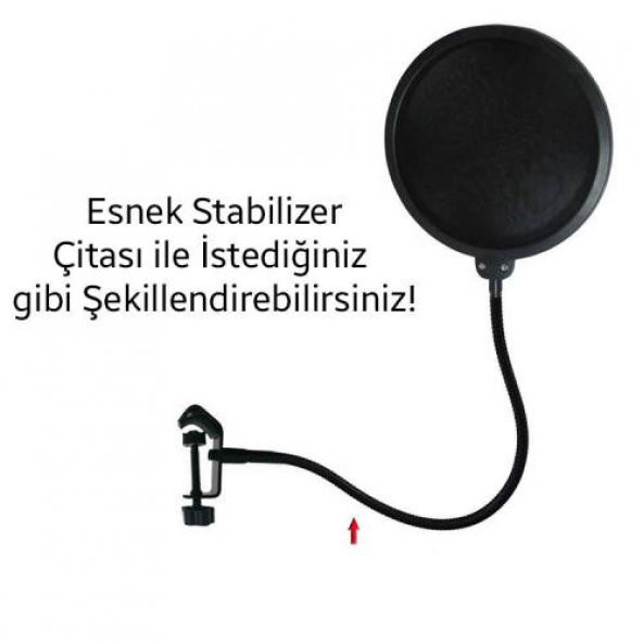 Polham Profesyonel Çift Katmanlı Stüdyo İçin Mikrofon Filtresi Youtober Mikrofon Filtresi - 2