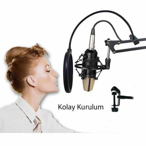 Polham Profesyonel Çift Katmanlı Stüdyo İçin Mikrofon Filtresi Youtober Mikrofon Filtresi - 3