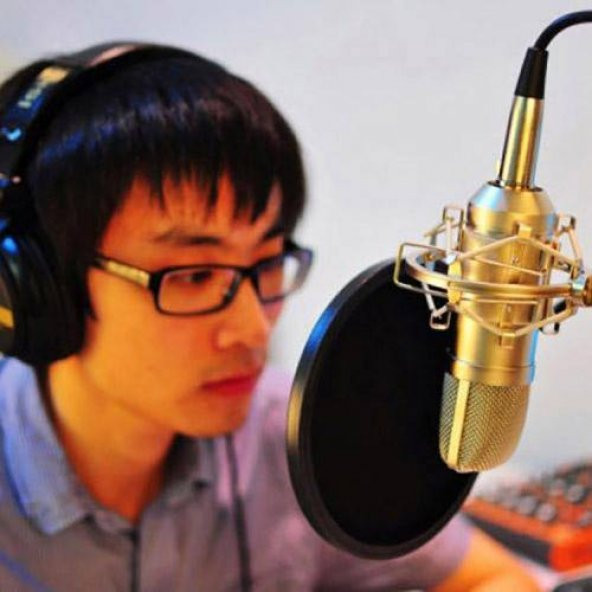 Polham Profesyonel Çift Katmanlı Stüdyo İçin Mikrofon Filtresi Youtober Mikrofon Filtresi - 6