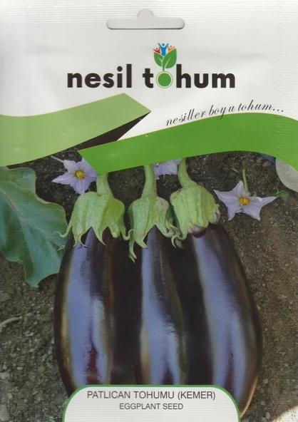 NESİL PATLICAN  TOHUMU ( KEMER )-5 GR