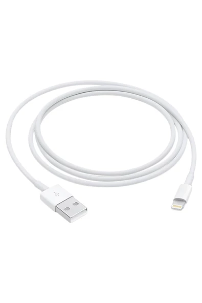 iPhone Lightning Usb Kablo 1m Mque2zm/a