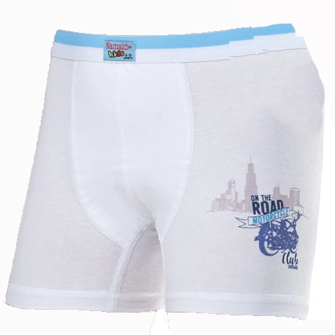 Namaldı 321 Erkek Çocuk Likralı Boxer - 4