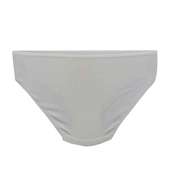 Kadın Bikini Külot Mikro Modal BGL-ST01312 - Resim 9