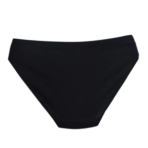 Kadın Bikini Külot Mikro Modal BGL-ST01312 - Resim 10