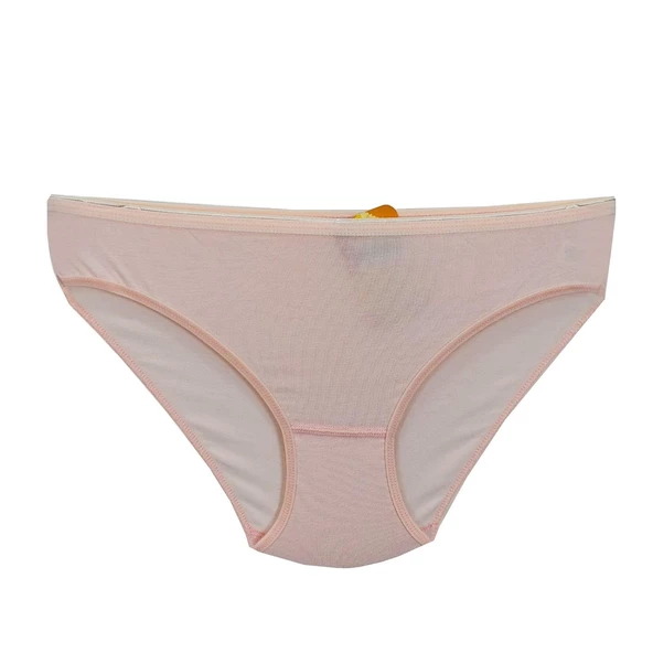 Kadın Bikini Külot Mikro Modal BGL-ST01312 - Resim 3