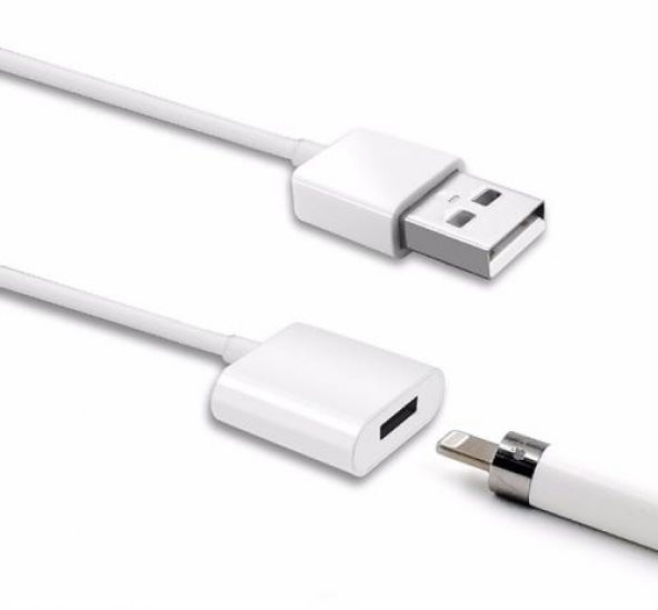 Polham 1 Metre Apple Pencil İçin USB To Lightning Şarj Kablosu, Apple Pencil 1 ve 2. Nesil Uyumlu - 2