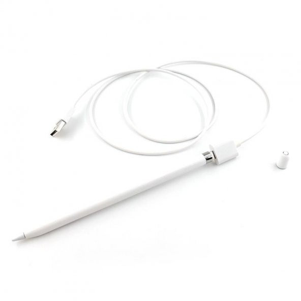 Polham 1 Metre Apple Pencil İçin USB To Lightning Şarj Kablosu, Apple Pencil 1 ve 2. Nesil Uyumlu - 3