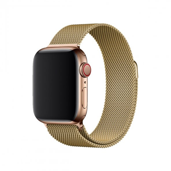 E2M APPLE WATCH 42-44MM KRD-01 METAL HASIR ALTIN  KORDON