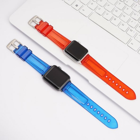 E2M Apple Watch 42-44mm KRD-23 Transparent Mavi Ko - 3