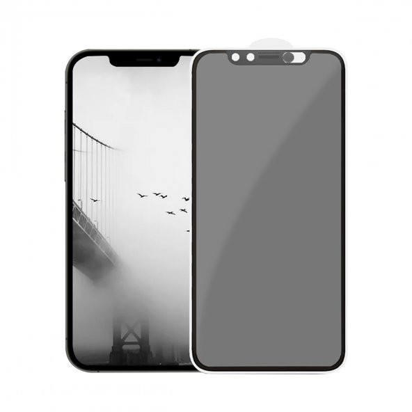 BİNANO PRIVACY PLUS IPHONE 13 MINI EKRAN KORUYUCU - Resim 2