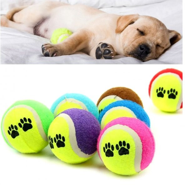 Evcil Hayvan Kedi Köpek Eğitim Topu 3 Lü Set Kedi Köpek Oyun Topu Kedi Oyuncagı Köpek Oyuncagı - 3