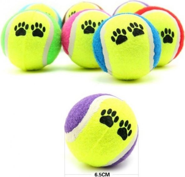 Evcil Hayvan Kedi Köpek Eğitim Topu 3 Lü Set Kedi Köpek Oyun Topu Kedi Oyuncagı Köpek Oyuncagı - 4