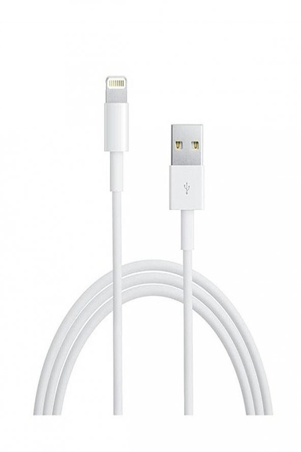 Iphone Şarj Aleti iphone 5 Orjinal Hızlı Şarj Aleti Apple hızlı set garantili ürün - 3
