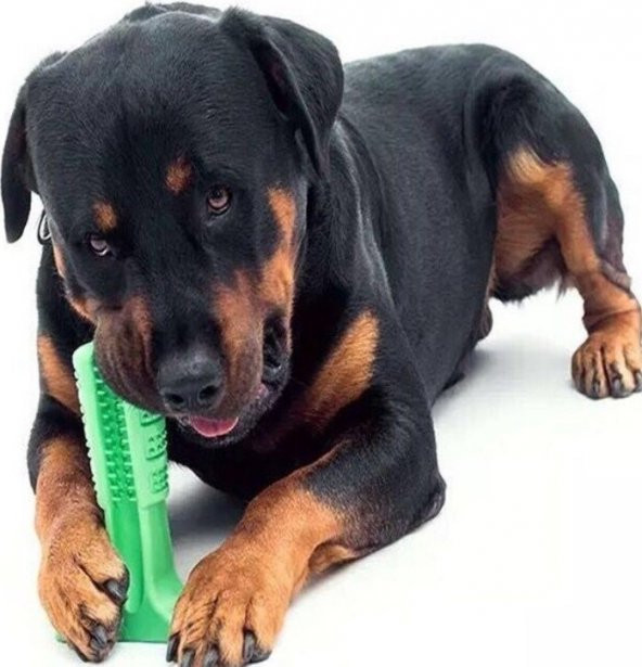 Köpek Diş Fırçası Isırma Aparatı Büyük Boy 15 X 10 X 4 Cm Köpek Oyuncagı