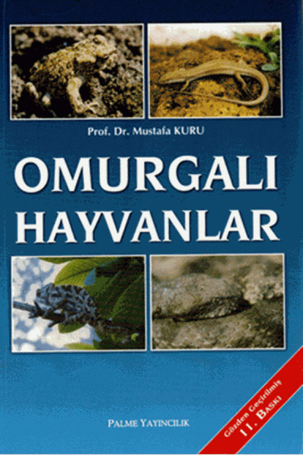 OMURGALI HAYVANLAR -PALME