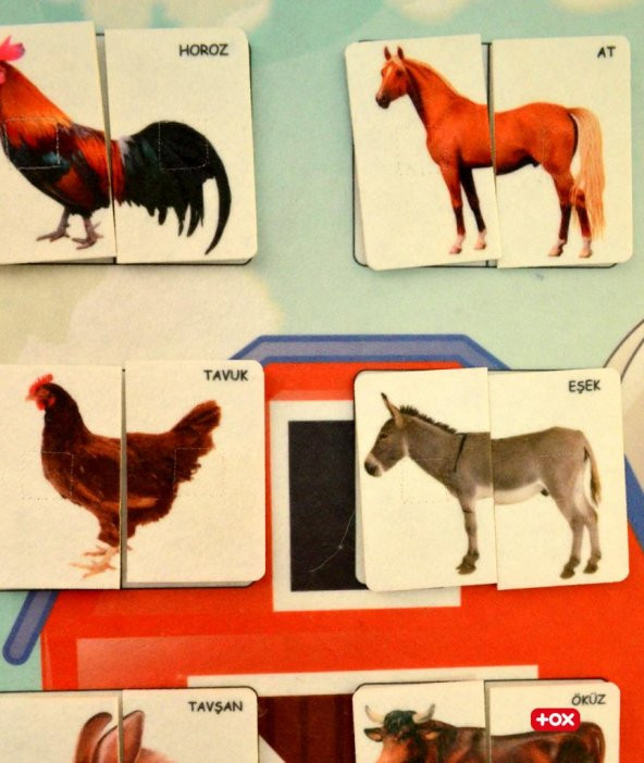 Parça Bütün Eşleştirme - Evcil Hayvanlar Keçe Cırtlı Duvar Panosu , Eğitici Oyuncak - 7