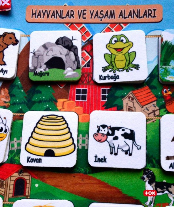 Tox ( Hayvanlar ve Yaşam Alanları ) Keçe Cırtlı Aktivite Sayfası - Çocuk Etkinlik , Eğitici Oyuncak - 9